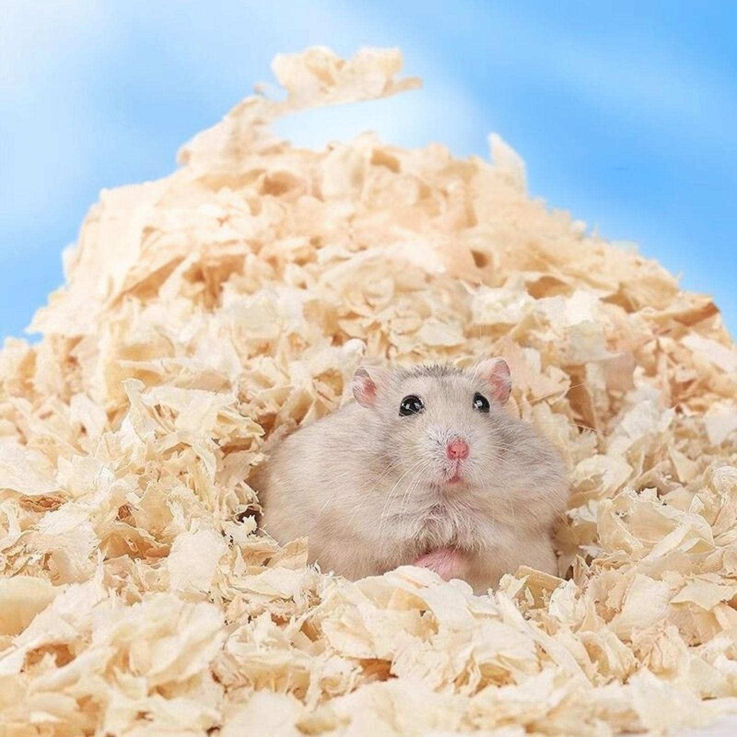 Zachte Houtchips vrolijk